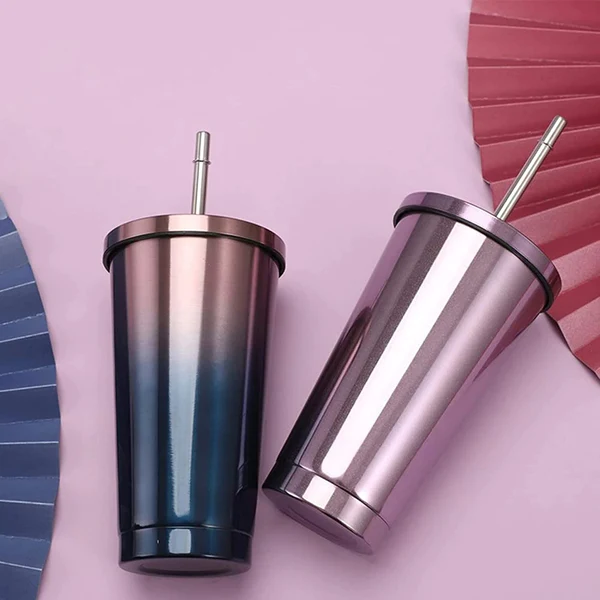 Double Wall Vacuum Insulated Tumbler with Steel Straw and Lid