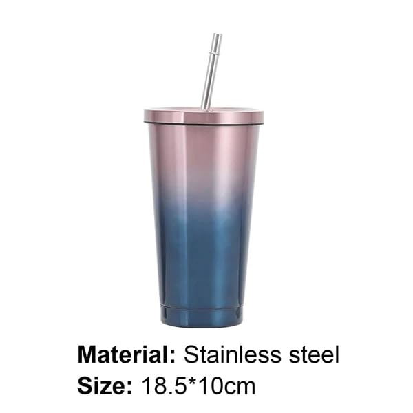 Double Wall Vacuum Insulated Tumbler with Steel Straw and Lid